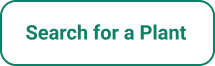 Search for a Plant