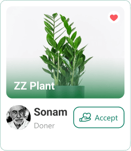 plant-card