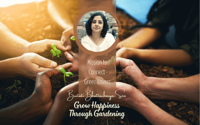 Two people planting together in a garden