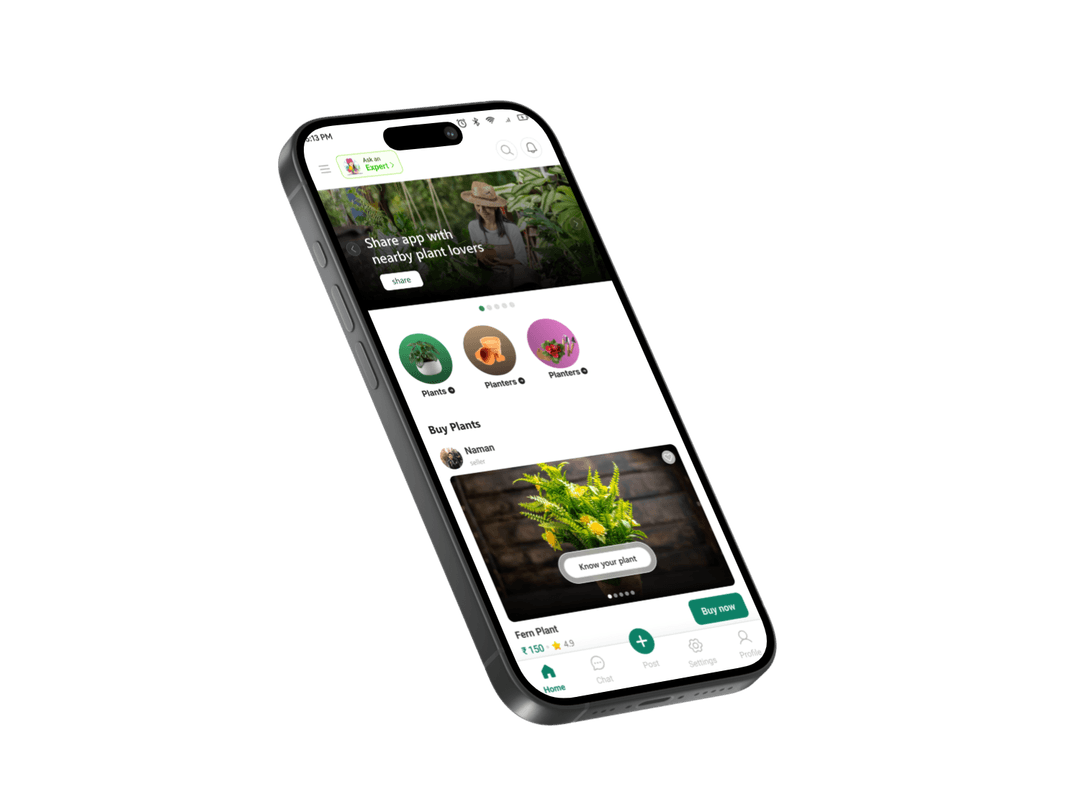 Mobile app interface