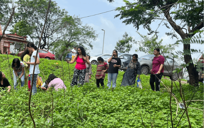 Plantation Drive